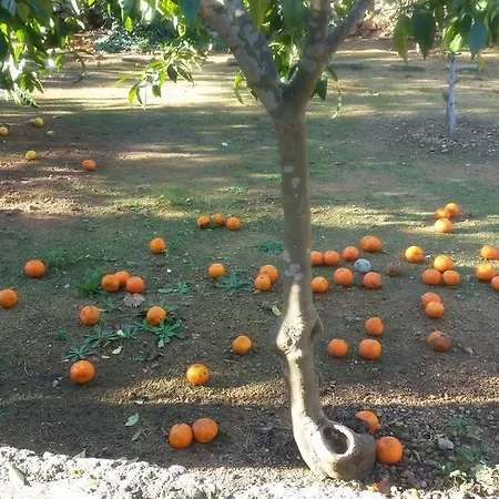 La Casina Della Quiete *