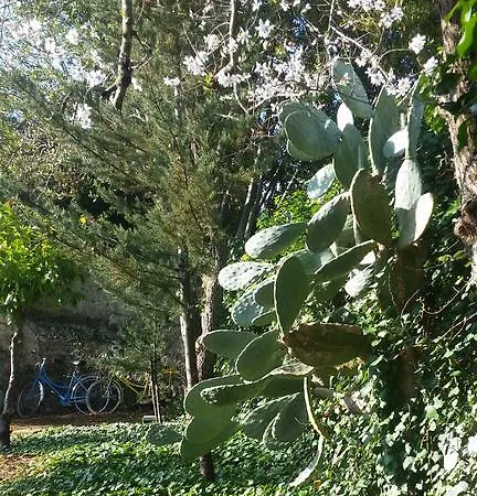 La Casina Della Quiete
